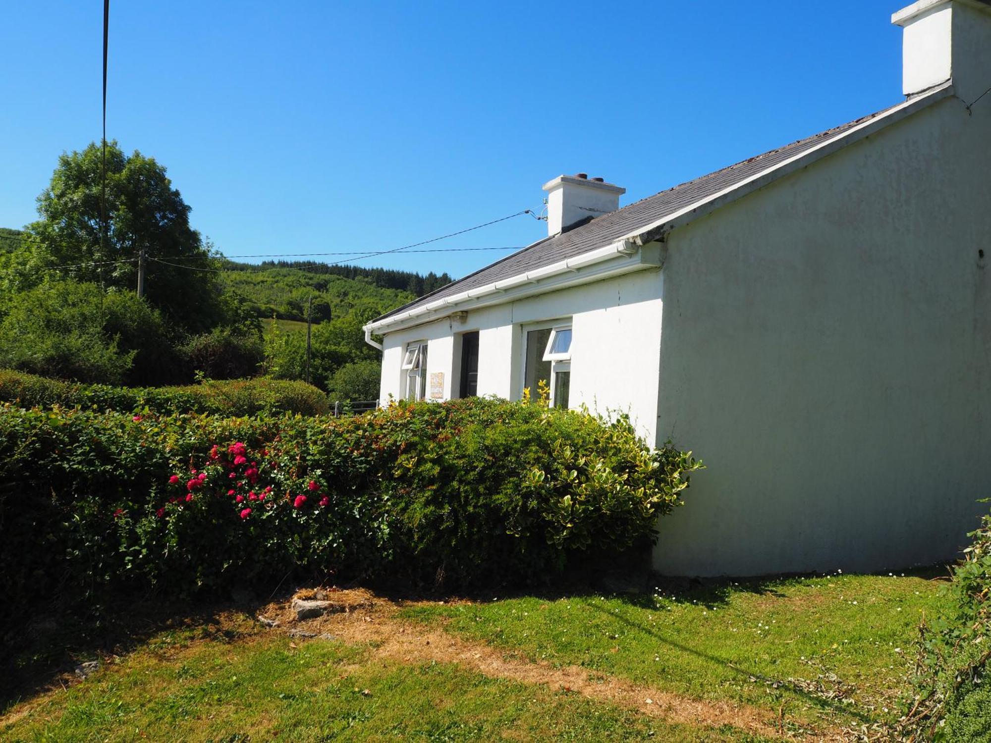 The Cottage @ Burkedale House Corofin  Dış mekan fotoğraf