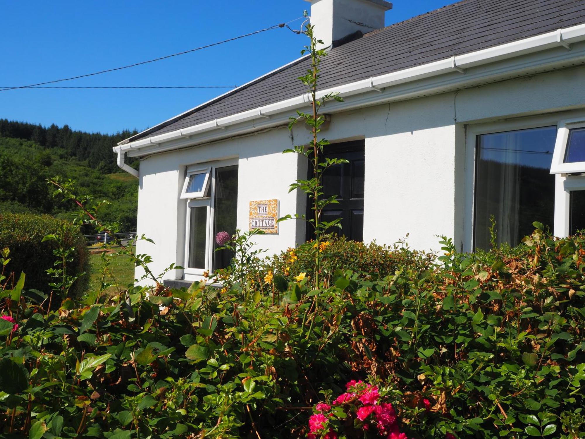 The Cottage @ Burkedale House Corofin  Dış mekan fotoğraf